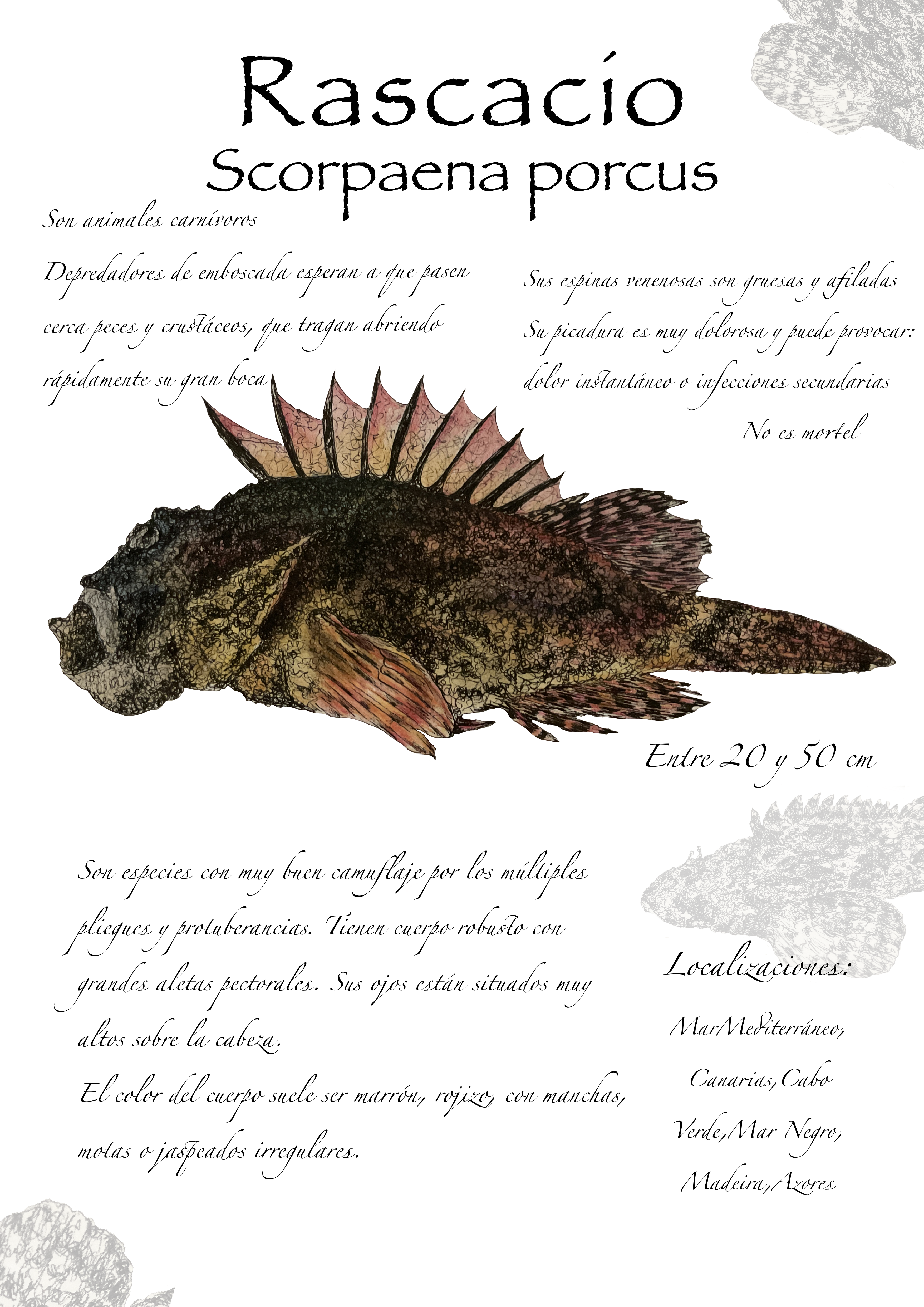 Ilustraciones científicas